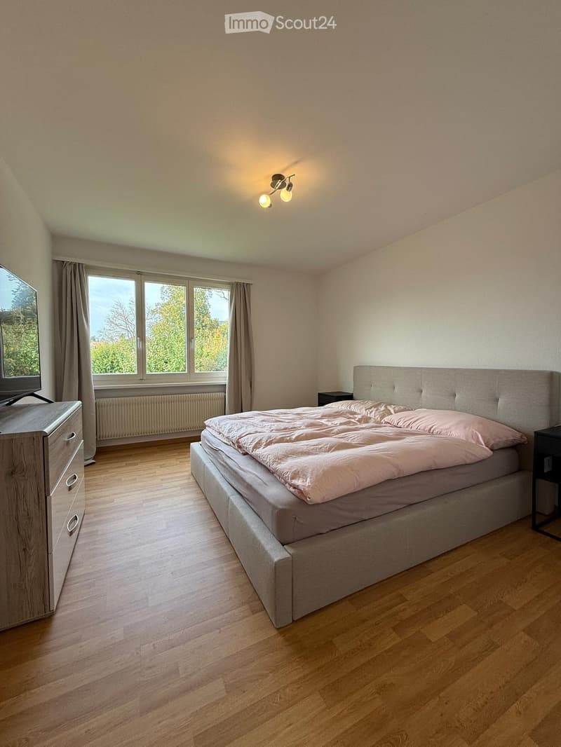 Modern bedroom with wooden flooring, large window with curtains, bed with grey headboard and pink bedding, nightstand, dresser, and television.