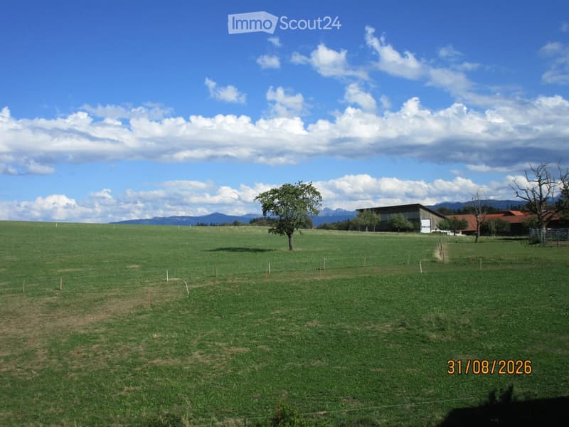 Open green field with a fence, a few trees, and distant buildings under a partly cloudy sky.