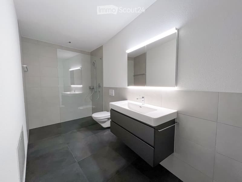 Modern bathroom with a white sink, dark wooden cabinet, large mirror with built-in lighting, and a glass-enclosed shower area with a toilet.