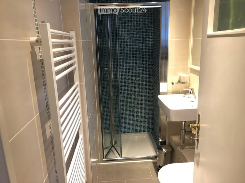 Modern bathroom with a white sink, chrome faucet, glass-enclosed shower, white radiator, and a small trash can.