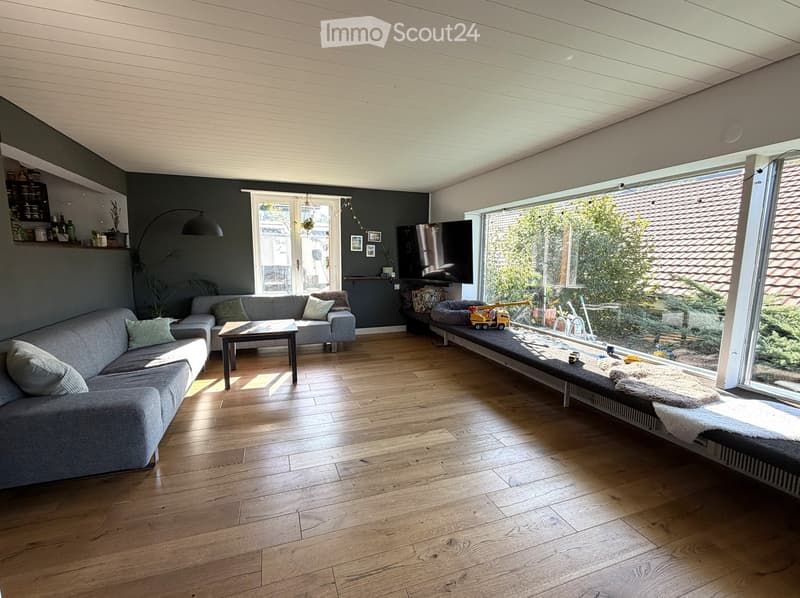 Modern living room with grey sectional sofa, wooden coffee table, large windows, TV, and pet bed with toys.