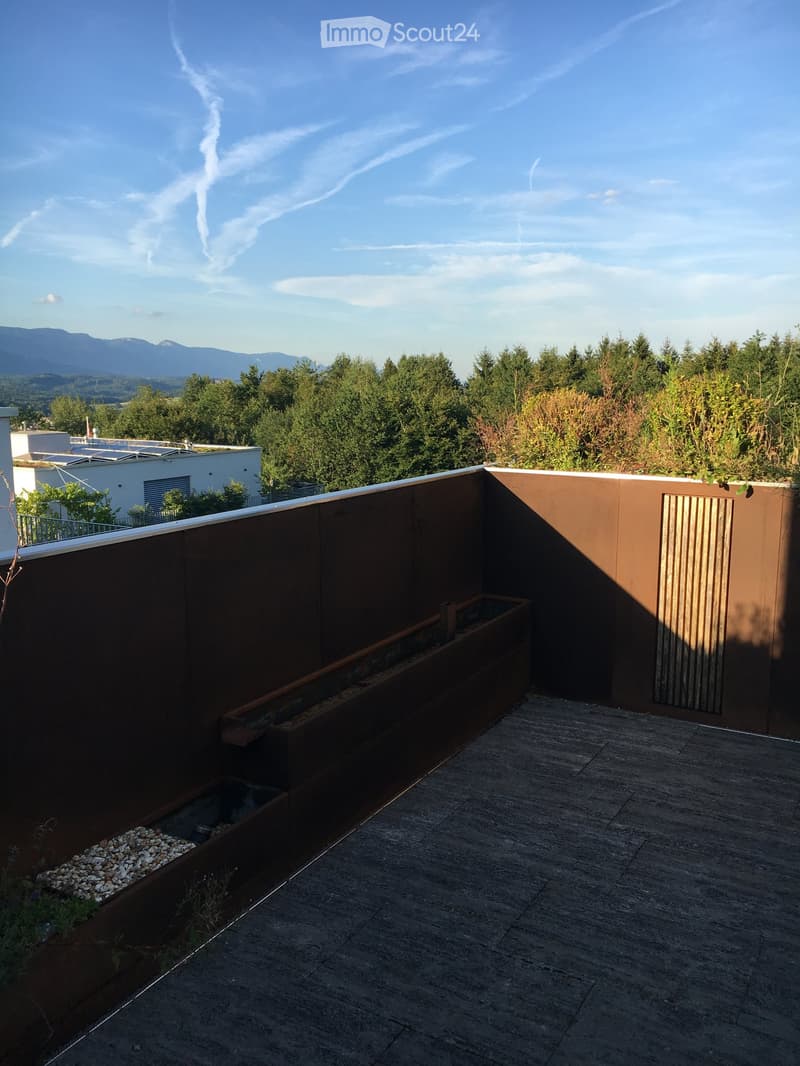 Modern rooftop terrace with concrete flooring, low brown walls, small water feature, and surrounding greenery with distant mountain view.