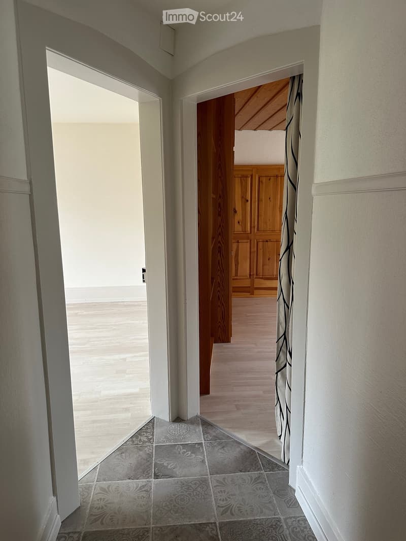 Corridor / Hallway. Empty corridor with white walls, wooden floor, and a wooden door leading to another room.