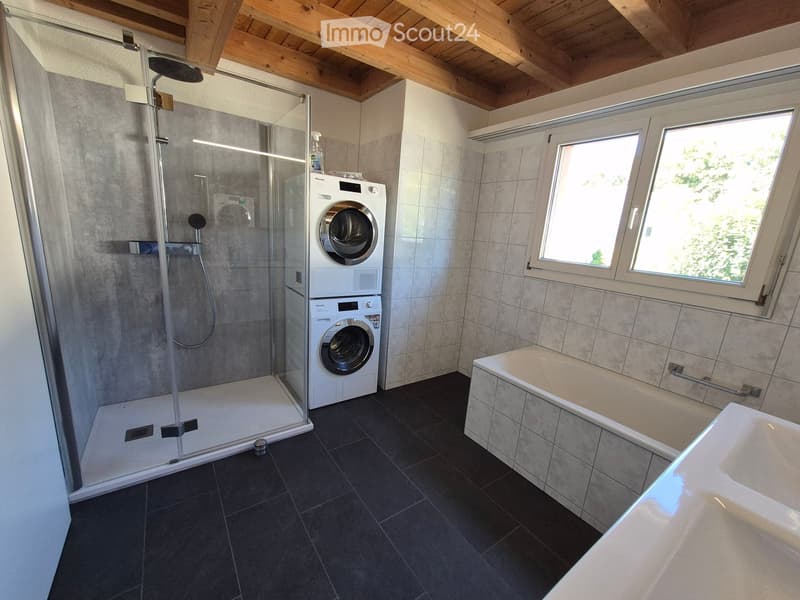 Modern bathroom with a glass-enclosed shower, a bathtub, a washing machine, and a sink. The room features dark tiled flooring and light-colored tiled walls.