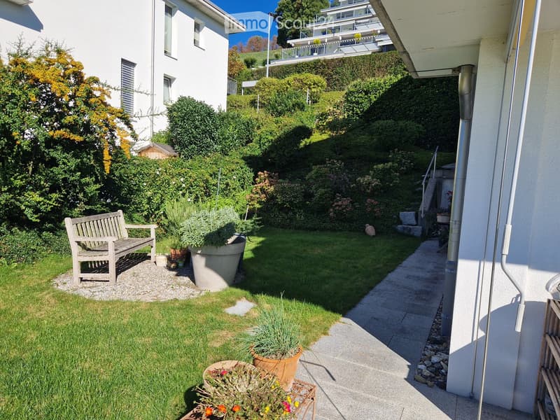 Well-maintained garden with a wooden bench, potted plants, and a concrete pathway leading to a building entrance.
