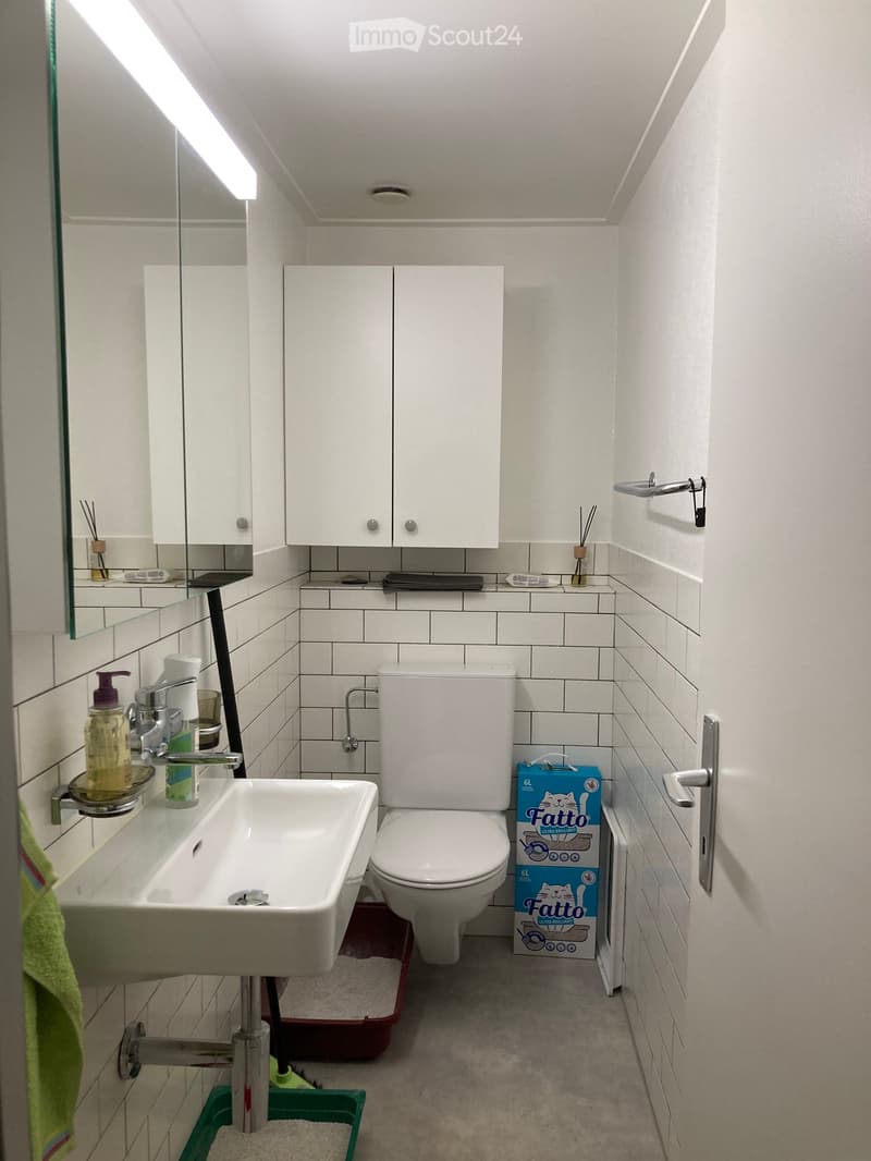 Modern bathroom with white tiles, a sink, toilet, mirror, and cabinets. Includes a cat litter box and a towel.