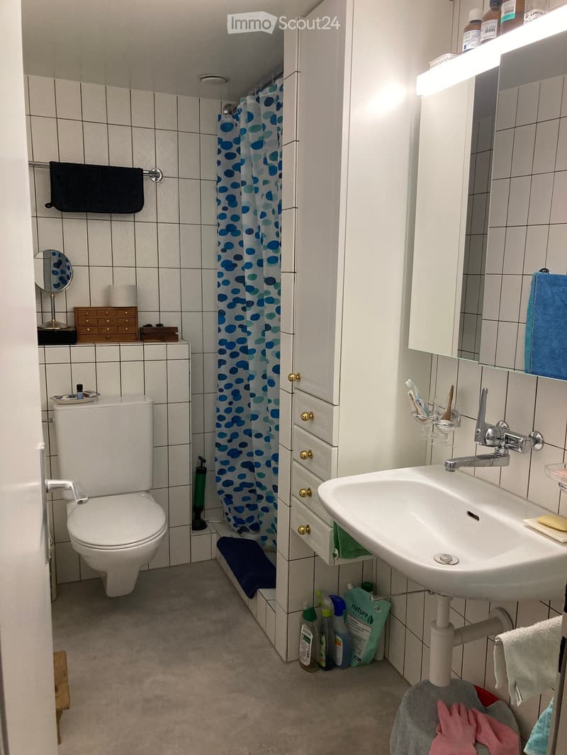 Bathroom with white tiles, toilet, sink, mirror, cabinet, and cleaning supplies. Features a blue and white shower curtain and various towels.