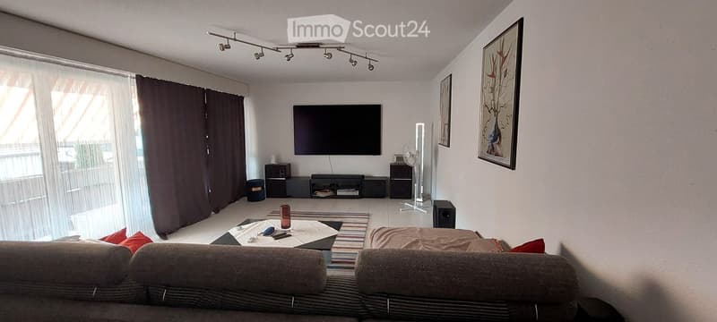 Modern living room with a grey sofa, coffee table, television, fan, and picture frame on the wall.