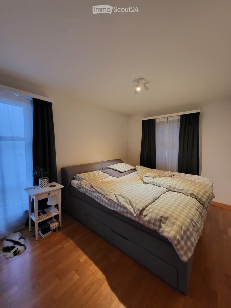 Cozy bedroom with a large bed, nightstand, lamp, and a small dog on the floor. The room features wooden flooring and large windows with dark curtains.