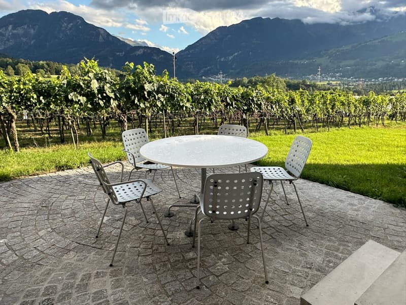 Outdoor seating area with a round table and four chairs on a stone-paved patio, surrounded by vineyards and mountains.
