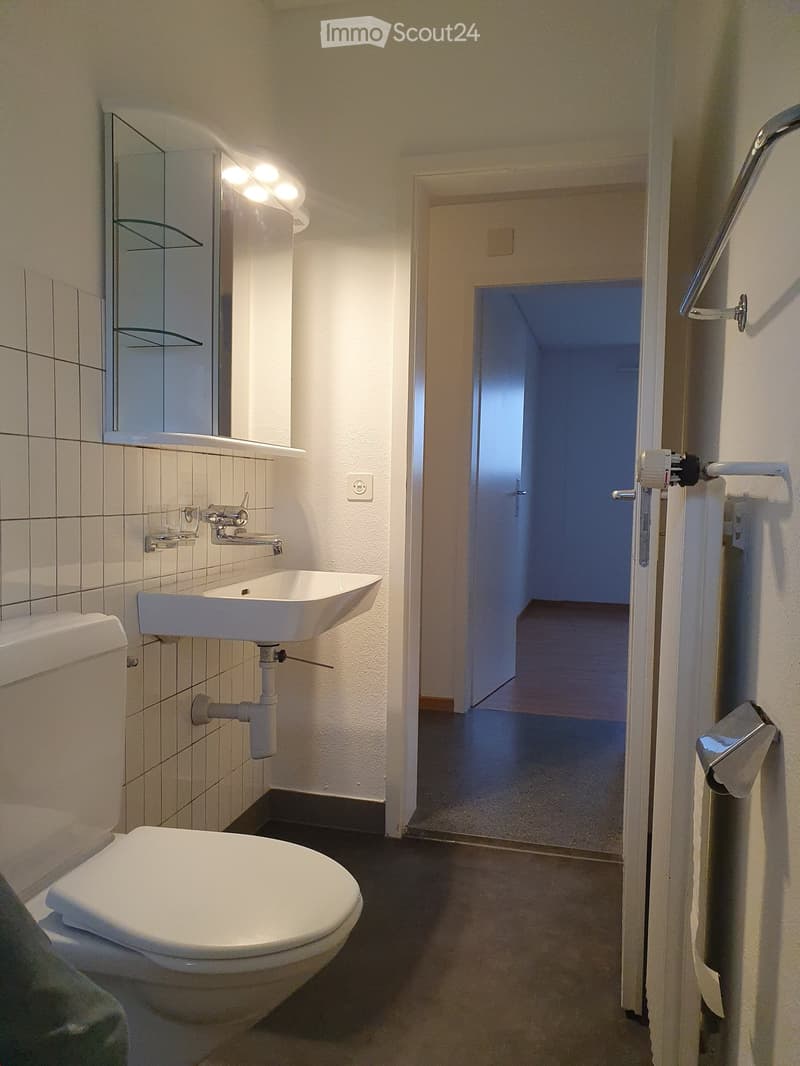 Ruhig gelegene Dachwohnung mit gemütlichem Balkon (9)