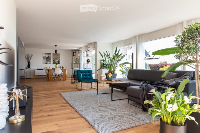 Modern living room with wooden flooring, large windows, grey sectional sofa, coffee table, dining area with chairs and table, decorative vases, and plants.