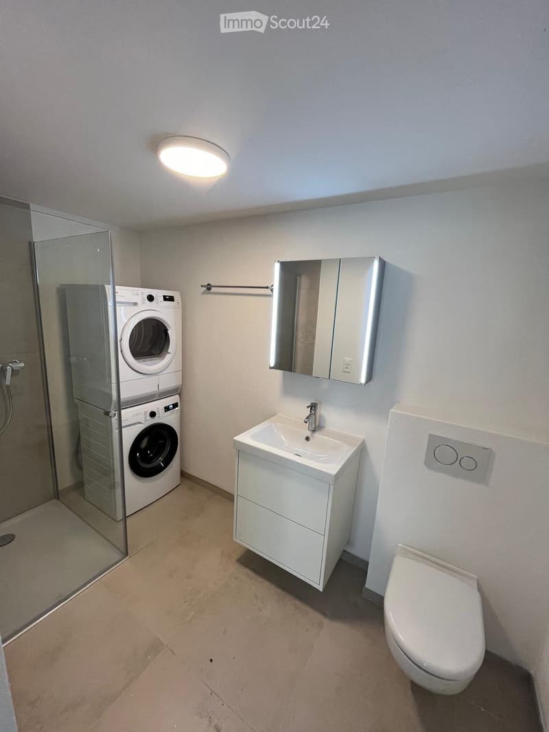 Modern bathroom with a white sink, mirror, toilet, and stacked washing machine/dryer unit. Features a glass shower enclosure and a round ceiling light.