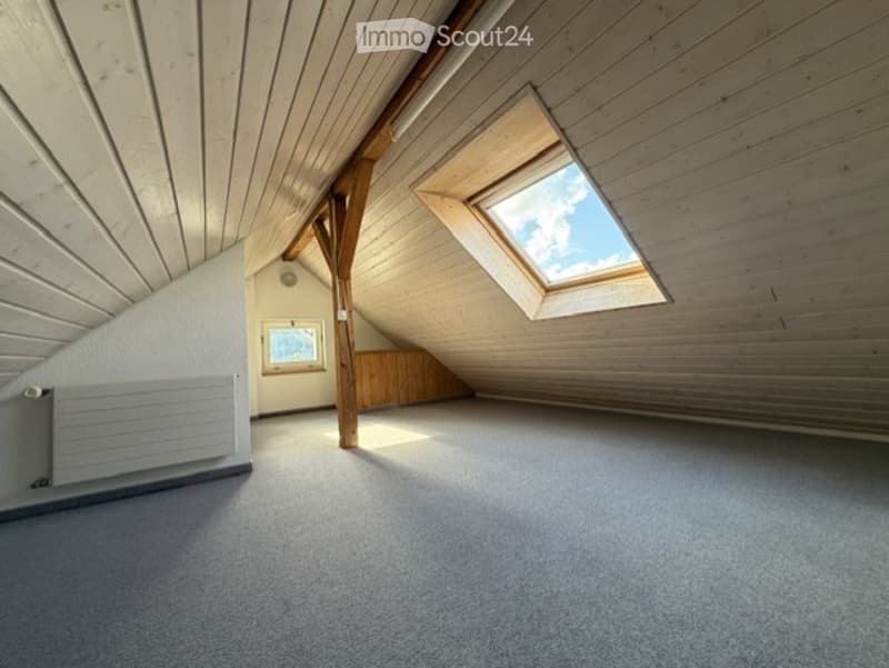 Bright, empty attic space with wooden beams, skylight window, and carpeted floor. No furniture or equipment present.