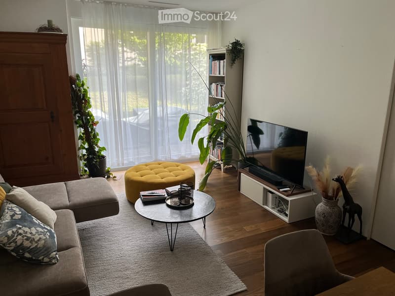 Modern living room with a grey sectional sofa, round coffee table, ottoman, television, bookshelf, and decorative items including a vase and plant.