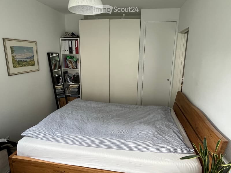 A tidy bedroom with a wooden bed, a large wardrobe, a bookshelf, a mirror, and a potted plant near the bed.