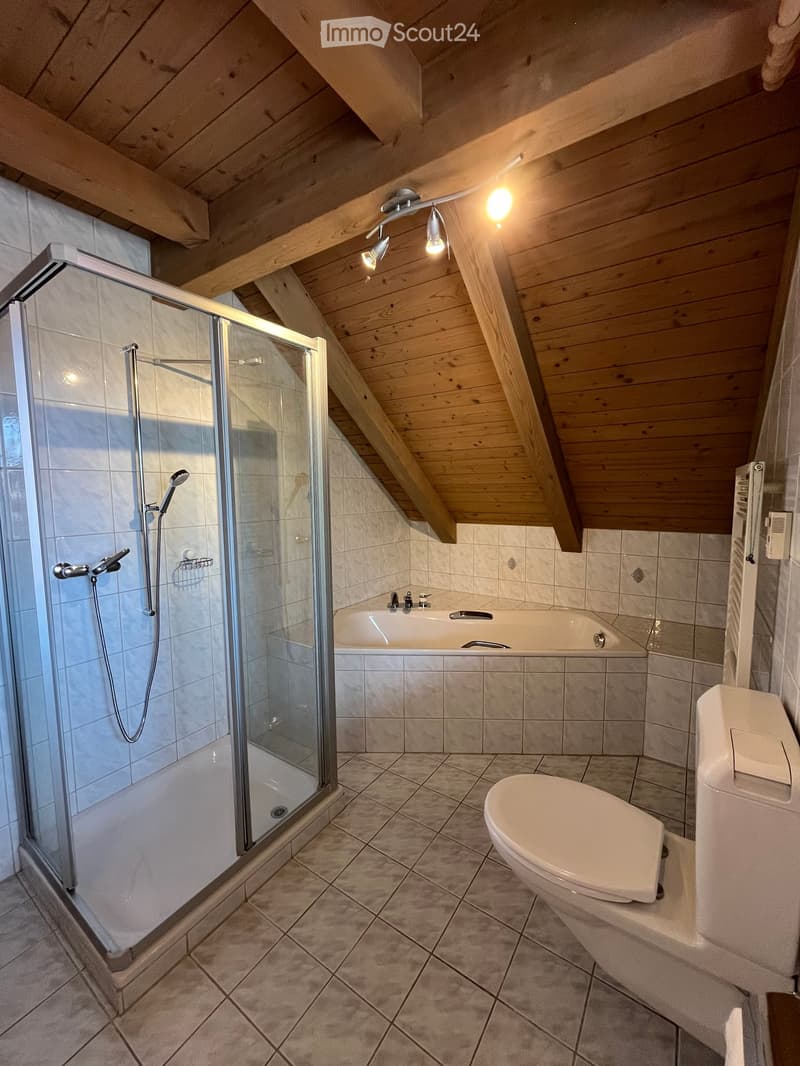 Modern bathroom with wooden slanted ceiling, tiled walls, bathtub, toilet, and glass-enclosed shower with multiple showerheads.