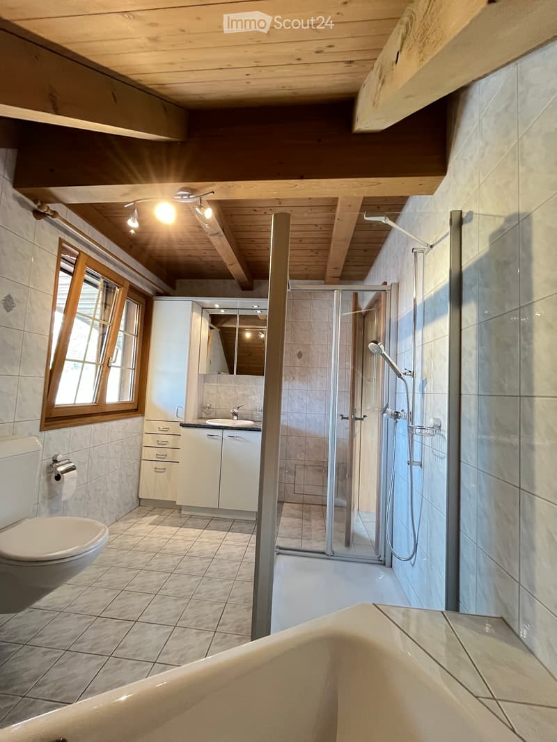Modern bathroom with a bathtub, toilet, sink, and walk-in shower. Features exposed wooden beams on the ceiling and large windows.