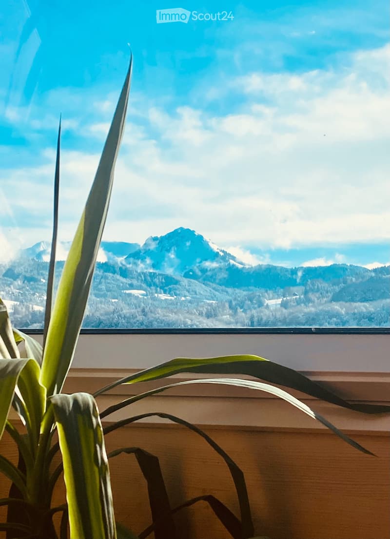 A plant is placed on a wooden surface in front of a large window with a scenic mountain view.