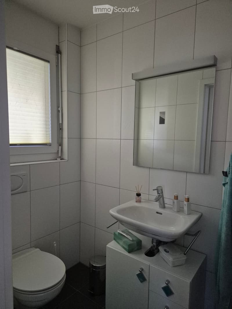 Modern bathroom with a white sink, mirror, toilet, and cabinet. Includes a towel, soap dispenser, and a small trash bin.