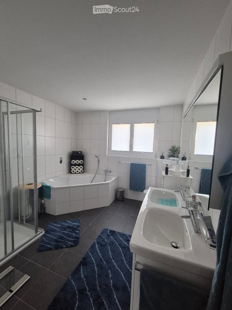 Modern bathroom with a bathtub, double sink, large mirror, and a glass-enclosed shower. Features include tiled walls, dark tiled flooring, and decorative blue rugs.
