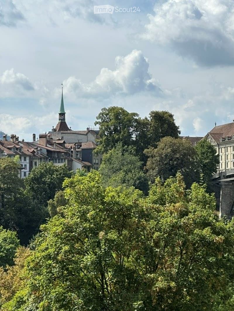 A view of a cityscape with traditional European buildings, including a church with a green spire, surrounded by lush green trees.