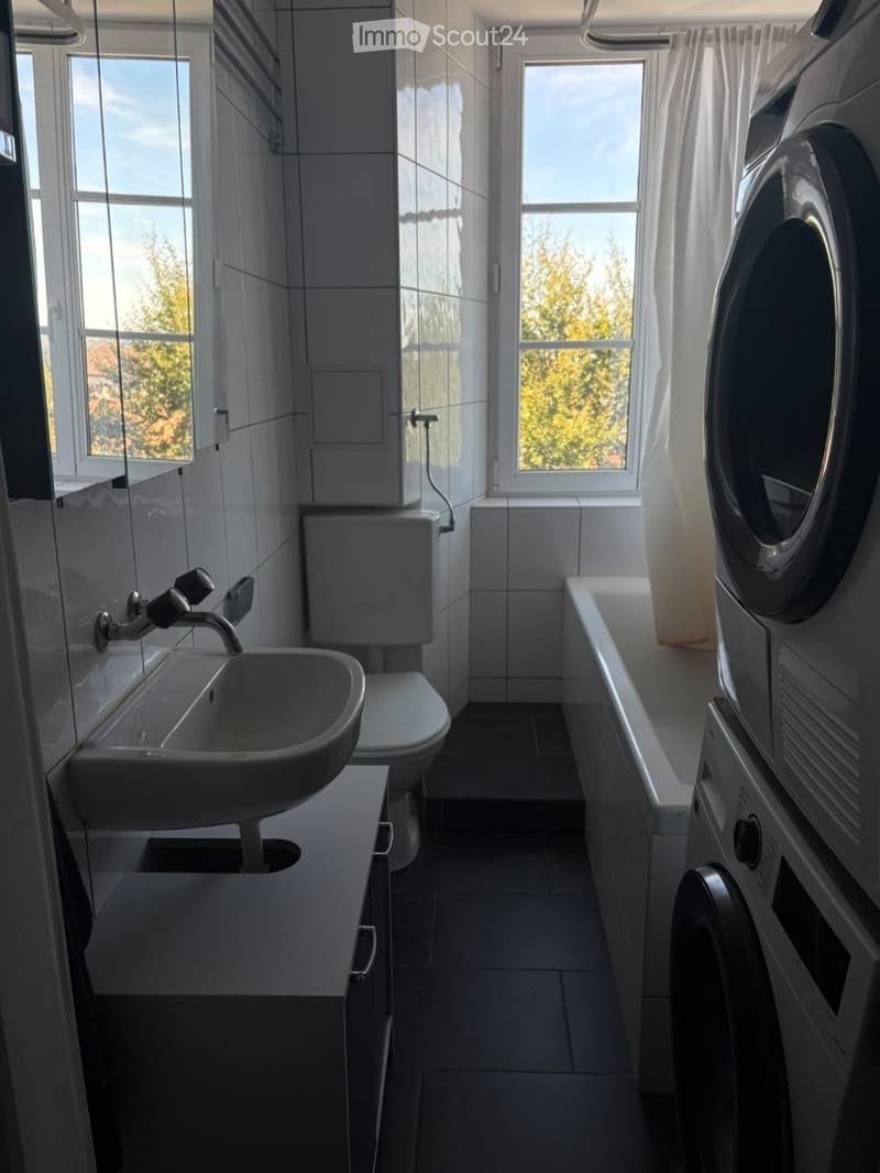 Modern bathroom with a sink, toilet, bathtub, and washing machine. Large windows with white curtains allow natural light to fill the space.