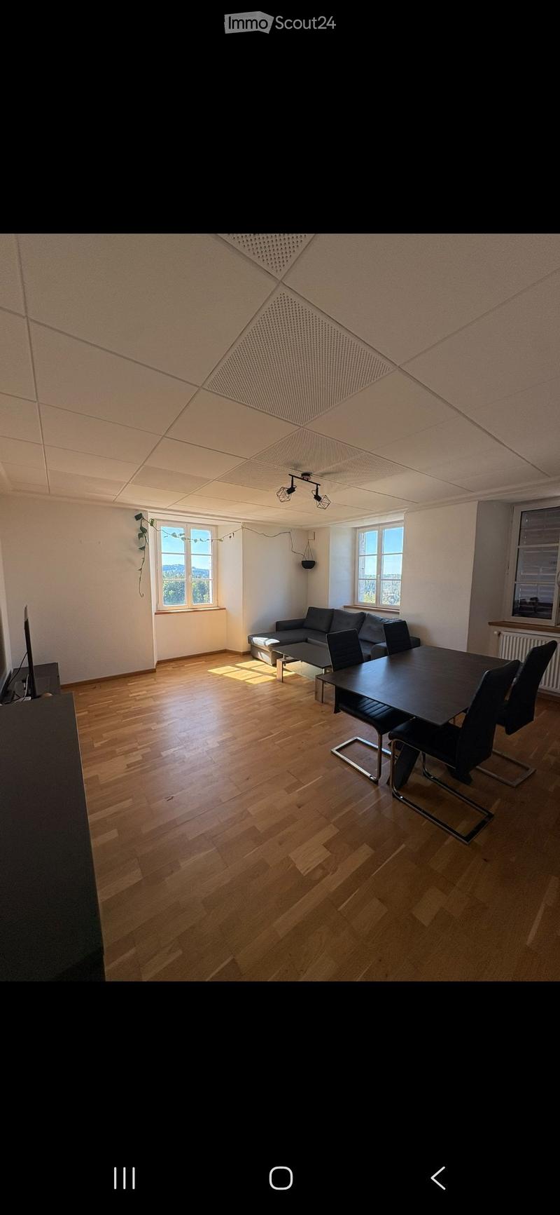 Bright living and dining area with wooden flooring, large windows, a grey sofa, a dining table with chairs, and a television on a stand.