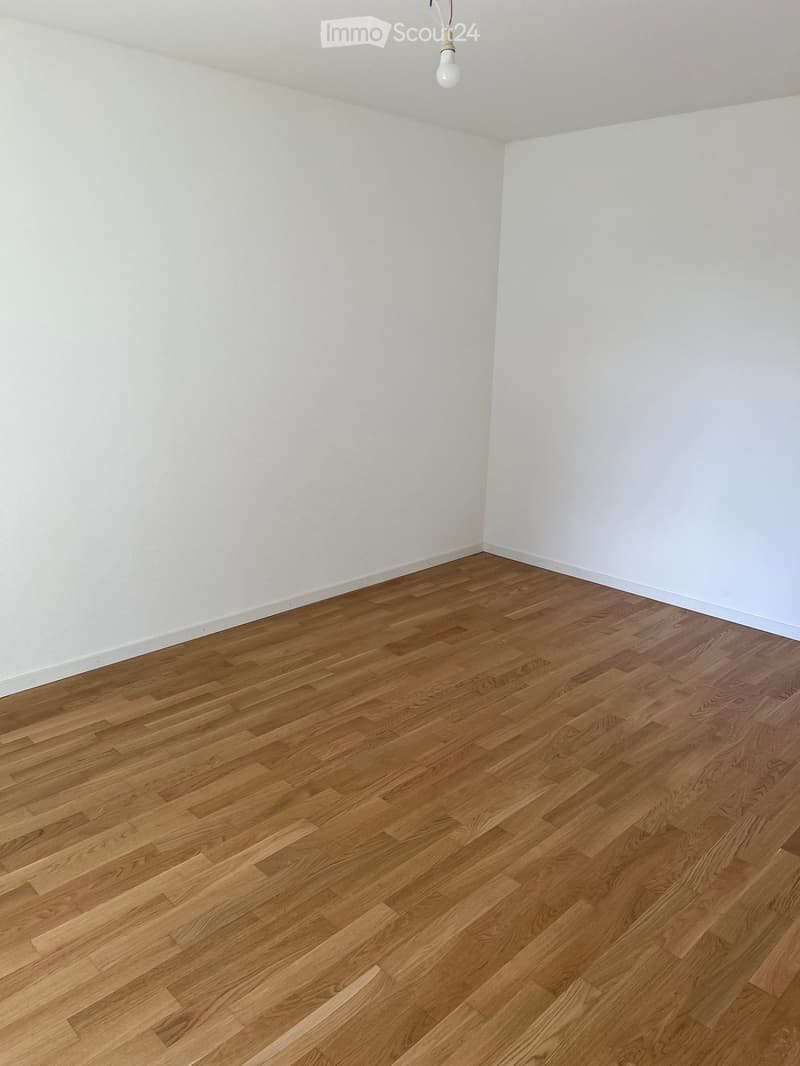 Empty room with light wooden flooring and white walls, featuring a single hanging light fixture.