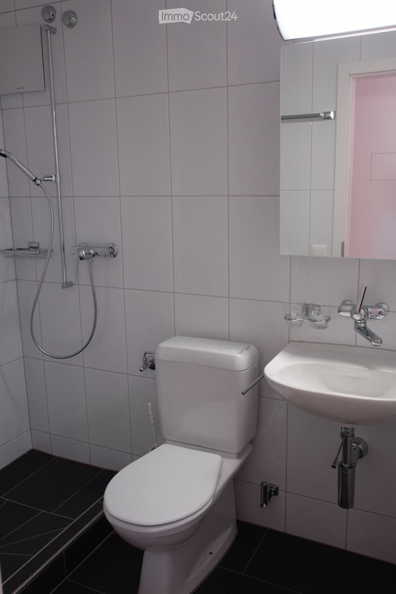 Modern bathroom with white tiles, a toilet, a sink with a mirror, and a shower hose attached to the wall.
