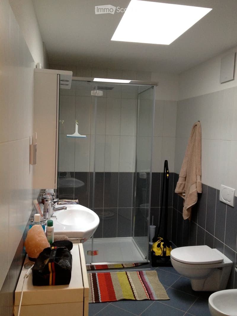 Modern bathroom with a sink, toilet, glass-enclosed shower, and a colorful striped rug on the floor. A towel hangs on the wall, and cleaning supplies are visible near the shower.