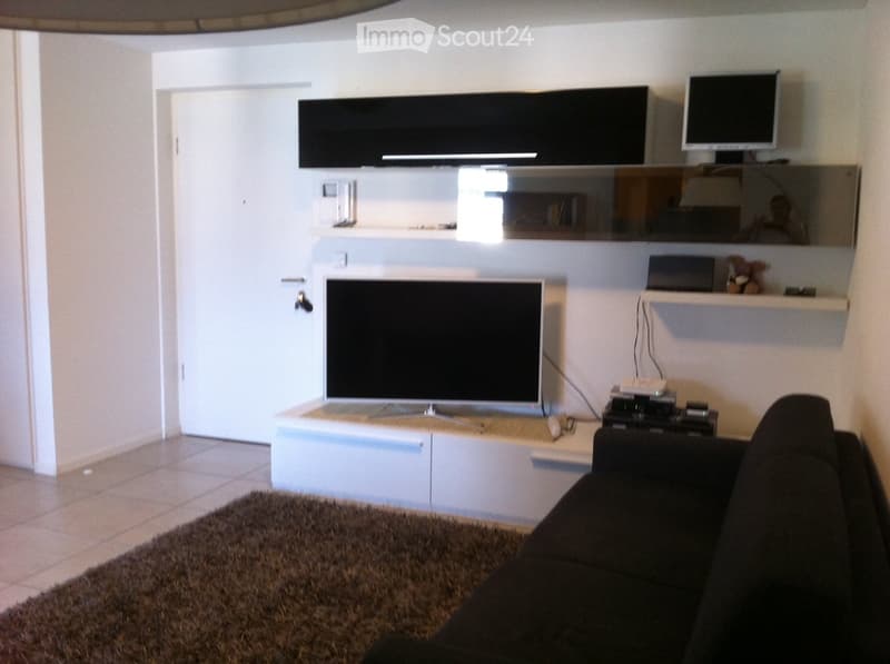 Modern living room with a large flat-screen TV mounted on the wall, a sleek white entertainment unit, a comfortable sofa, and a plush brown rug on the floor.