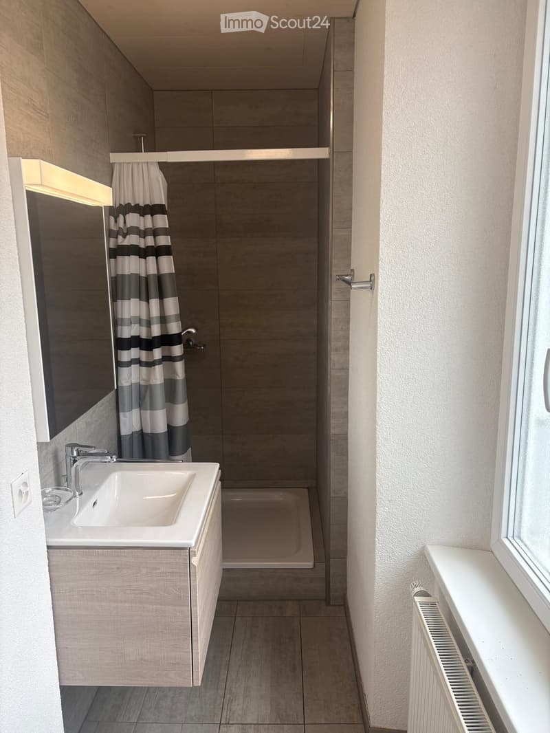 Modern bathroom with a sink, mirror, radiator, and a shower area with a curtain.