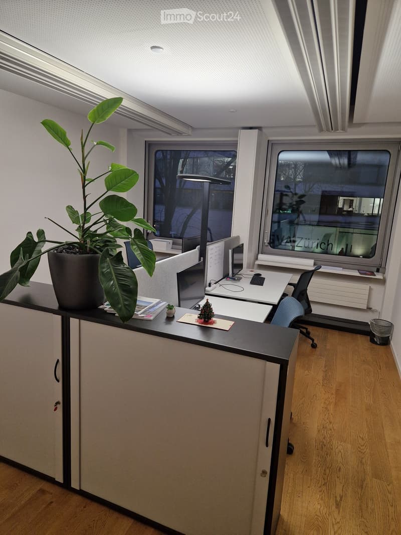 Modern office space with a large potted plant, desk with computer, chair, and cabinet.