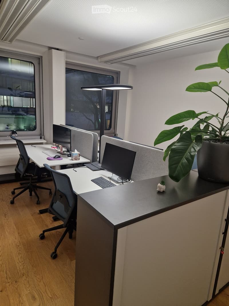 Modern office space with desks, chairs, computers, and a large plant in a pot. The room features large windows and a sleek, contemporary design.