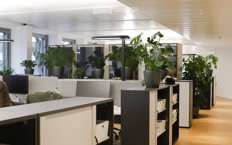 Modern office space with desks, chairs, computer screens, potted plants, and storage cabinets.