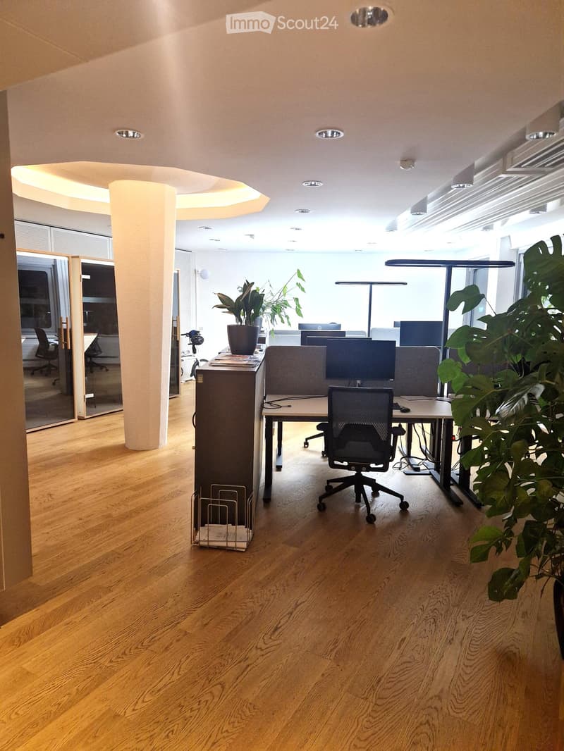 Office space with wooden flooring, a desk with a chair, a screen, a plant, and a lamp.
