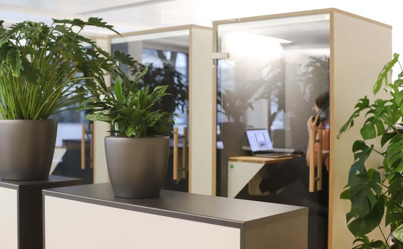 Modern office space with glass partitions, a desk with a laptop, and several potted plants.