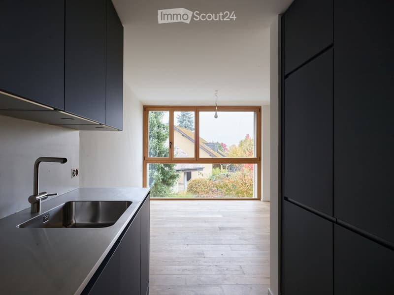 Open modern kitchen with wooden floor, stainless steel sink, gas stove, wooden window, power outlet, tap