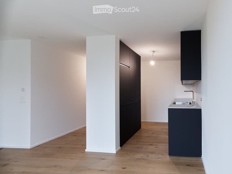 Empty room, hardwood floor, black cabinets, ceiling light, sink
