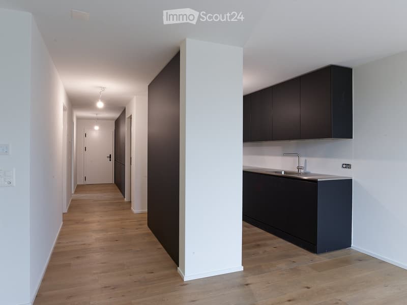 white walls, wooden floor, ceiling light fixtures, modern kitchen with dark cabinets and countertops, stainless steel sink with faucet