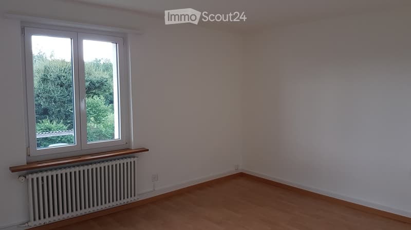 Empty room with wooden flooring, white walls, large window with white frame, radiator, and a small wooden shelf above it.