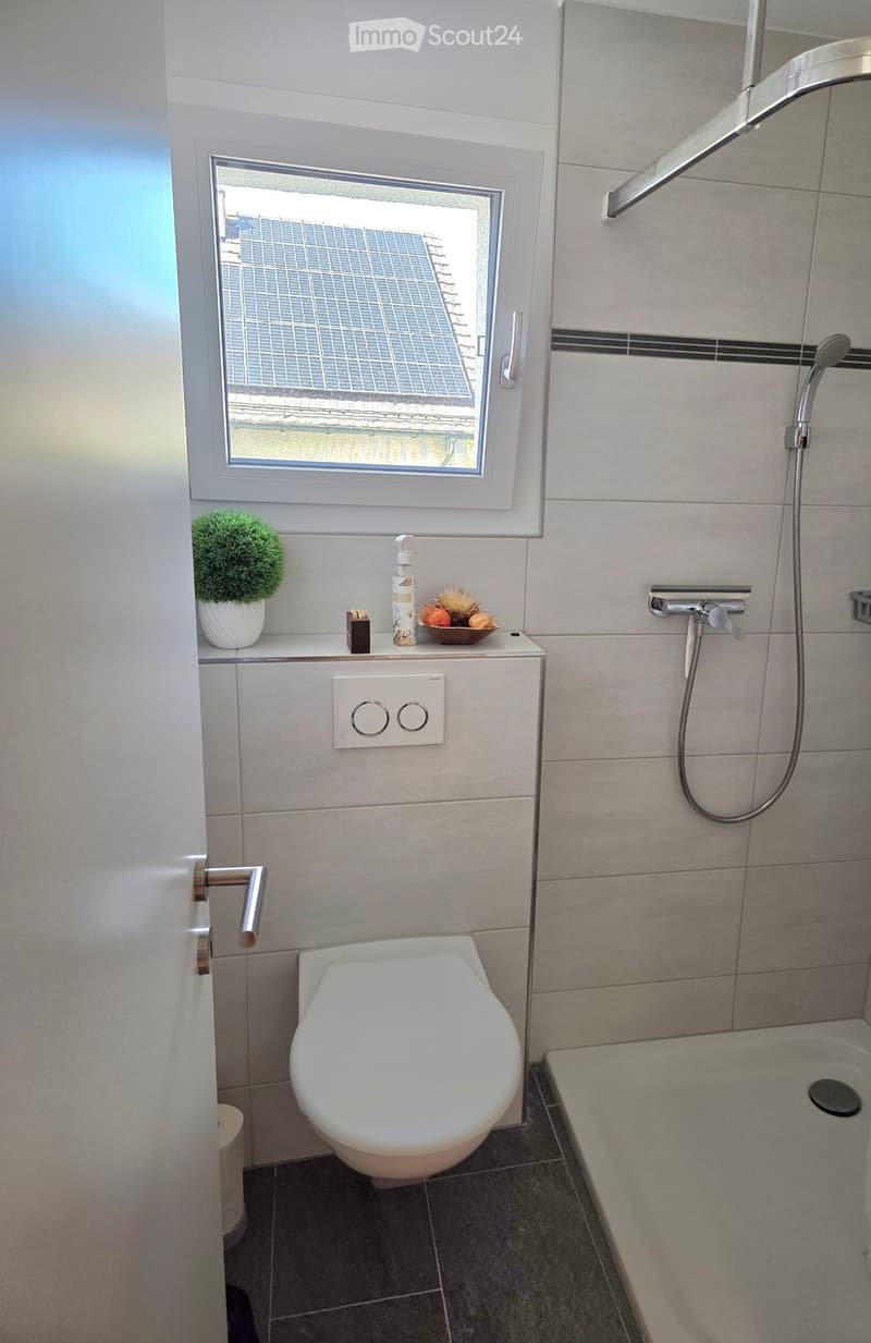 Modern bathroom with a toilet, bathtub, shower, and a small window. Includes a decorative plant, bottle, and bowl on the windowsill.