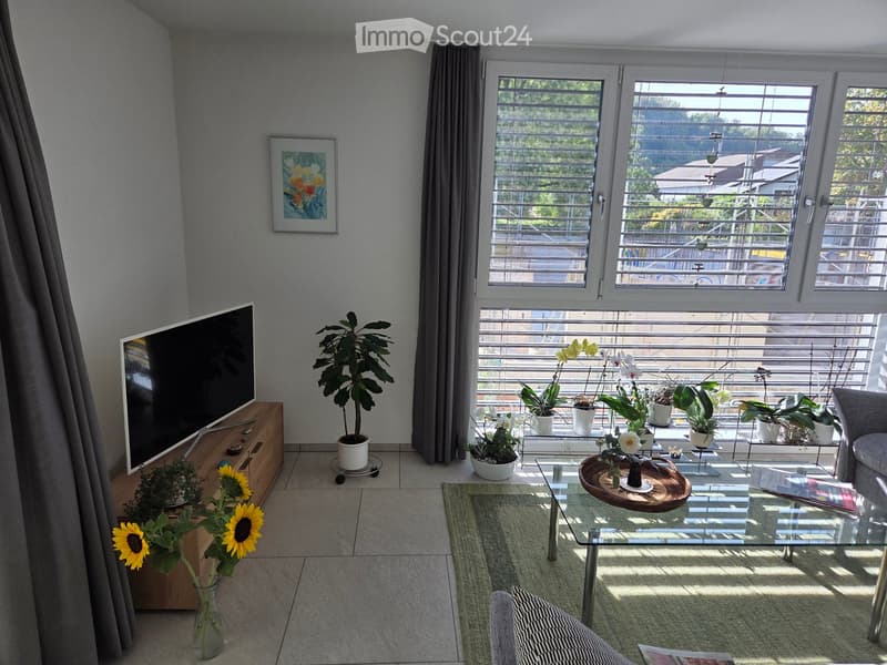Modern living room with large windows, a sofa, coffee table, television, and various plants and decorative items.