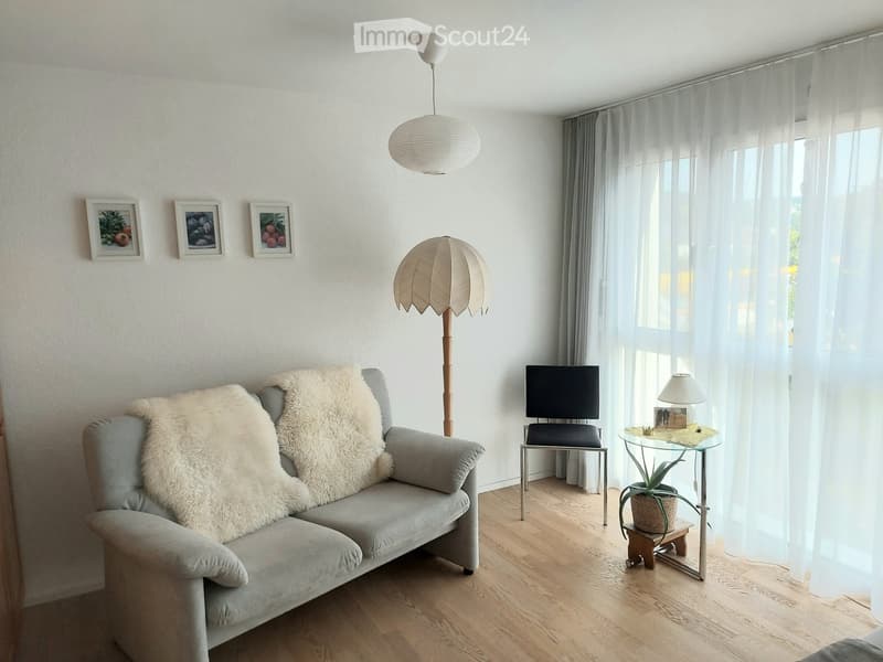 Living room with a grey sofa, a small round glass table, a floor lamp, a side table with a screen, and a plant. The room has large windows with white curtains and a hanging pendant light.