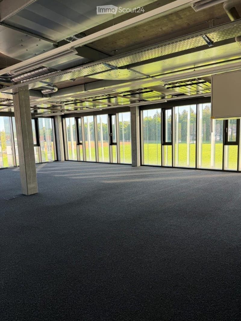 Empty room with large windows, exposed ceiling beams, and carpeted floor.