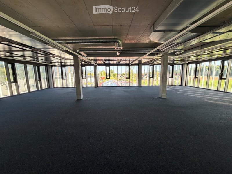 Empty room with large windows, carpeted floor, exposed ceiling beams, and industrial-style lighting.