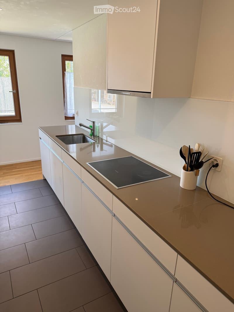 {"type": "Kitchen", "objects": ["sink", "faucet", "induction stove", "cabinets", "cupboard", "cup", "faucet", "faucet", "faucet", "faucet", "faucet", "faucet", "faucet", "faucet", "faucet", "faucet", "faucet", "faucet", "faucet", "faucet", "faucet", "fauc