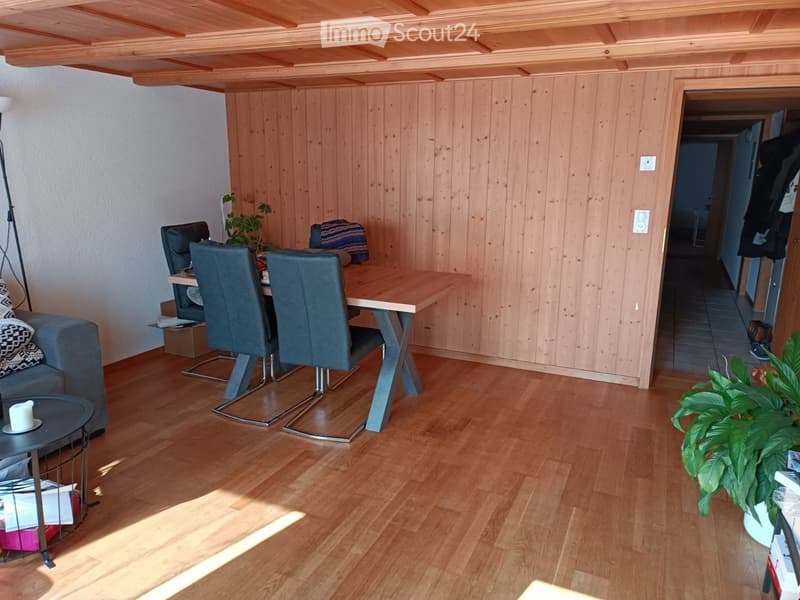 Living room with wooden walls and floor, a sofa, coffee table, dining table with chairs, and a plant in the corner.
