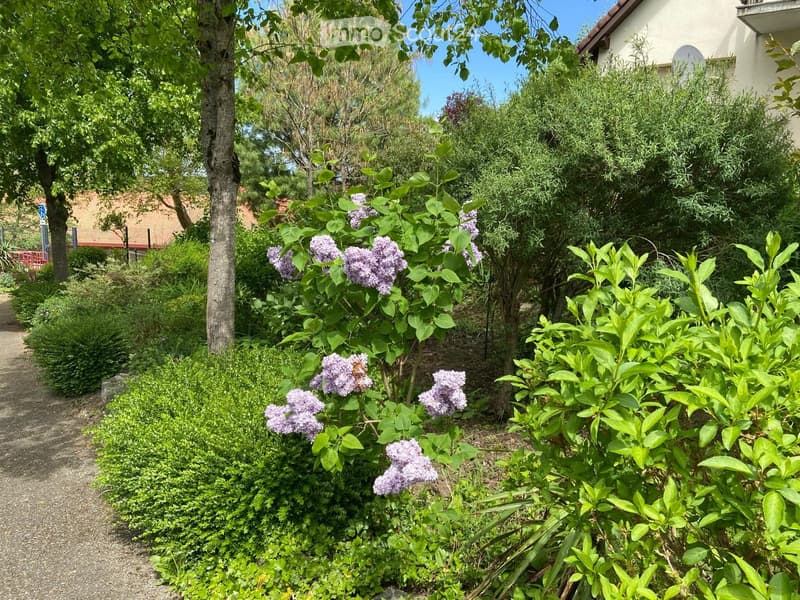 A lush garden with various plants, including blooming lilacs, shrubs, and trees, with a gravel path leading through the greenery.